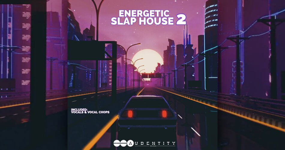 Audentity Records发布了Energetic Slap House 2样本包-