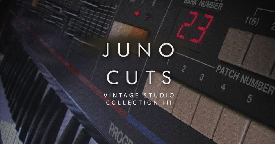 Juno Cuts：带有Roland Juno 60声音的巴生系列样品包-