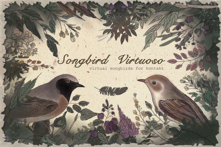 Loops de la Crème为Kontakt发布了Songbird Virtuoso库-