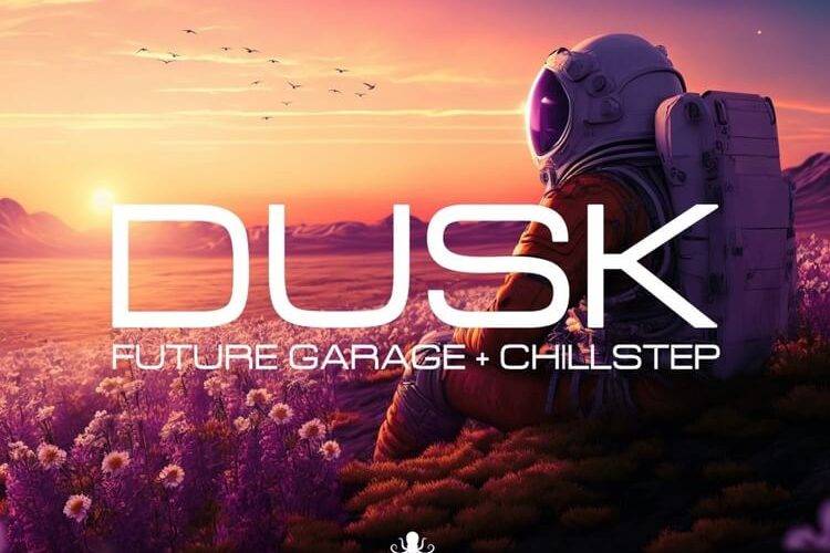 图片[1]-Black Octopus Sound的Dusk Future Garage & Chillstep-