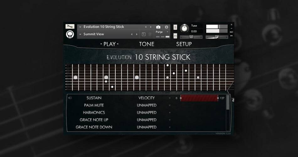 橙树样本的Evolution 10 String Stick for Kontakt Player-