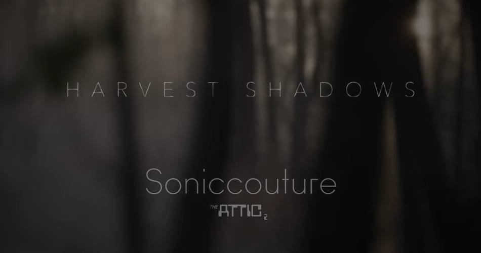 图片[1]-Soniccouture发布了Hazel Mills为阁楼2 +黑色星期五销售推出的收获阴影-
